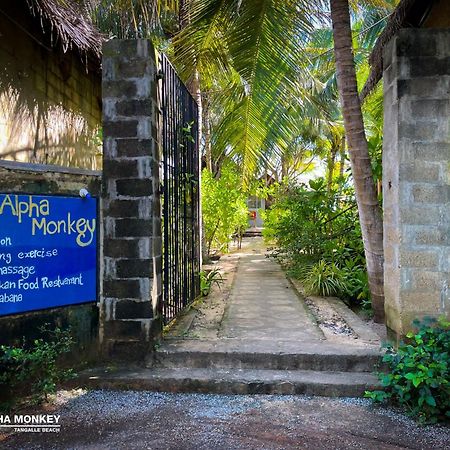 The Alpha Monkey Hotel & Tree House Tangalle Extérieur photo