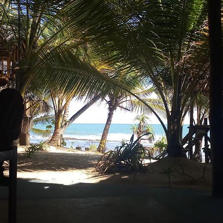The Alpha Monkey Hotel & Tree House Tangalle Extérieur photo