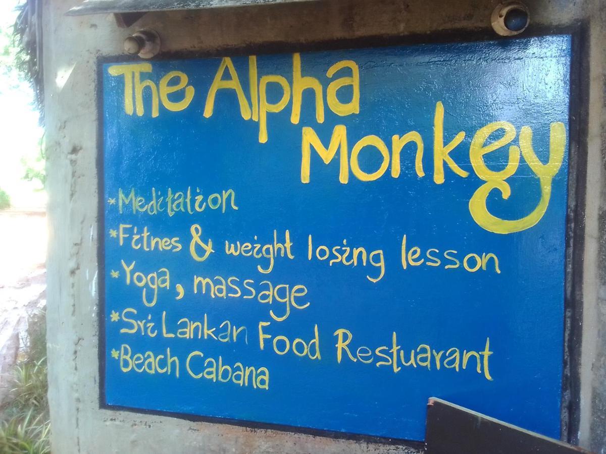 The Alpha Monkey Hotel & Tree House Tangalle Extérieur photo