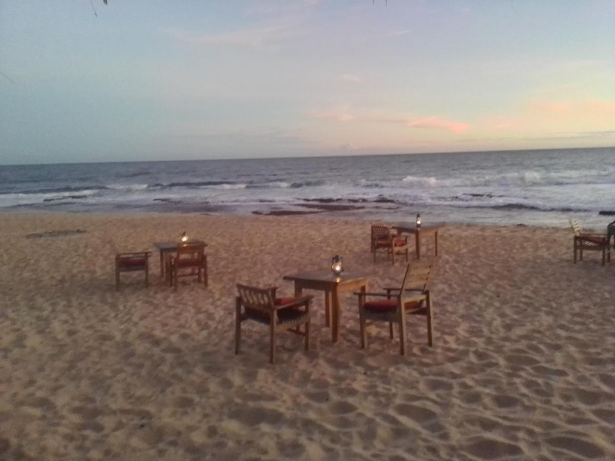 The Alpha Monkey Hotel & Tree House Tangalle Extérieur photo