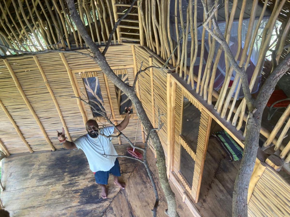 The Alpha Monkey Hotel & Tree House Tangalle Extérieur photo