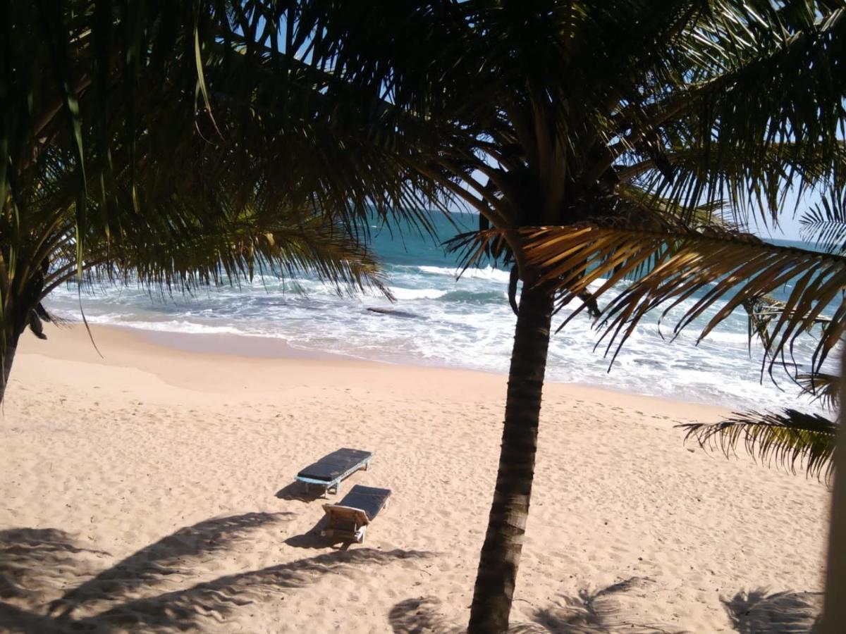The Alpha Monkey Hotel & Tree House Tangalle Extérieur photo