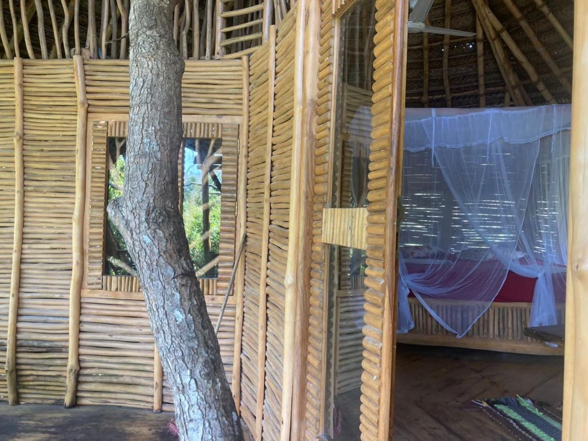 The Alpha Monkey Hotel & Tree House Tangalle Extérieur photo