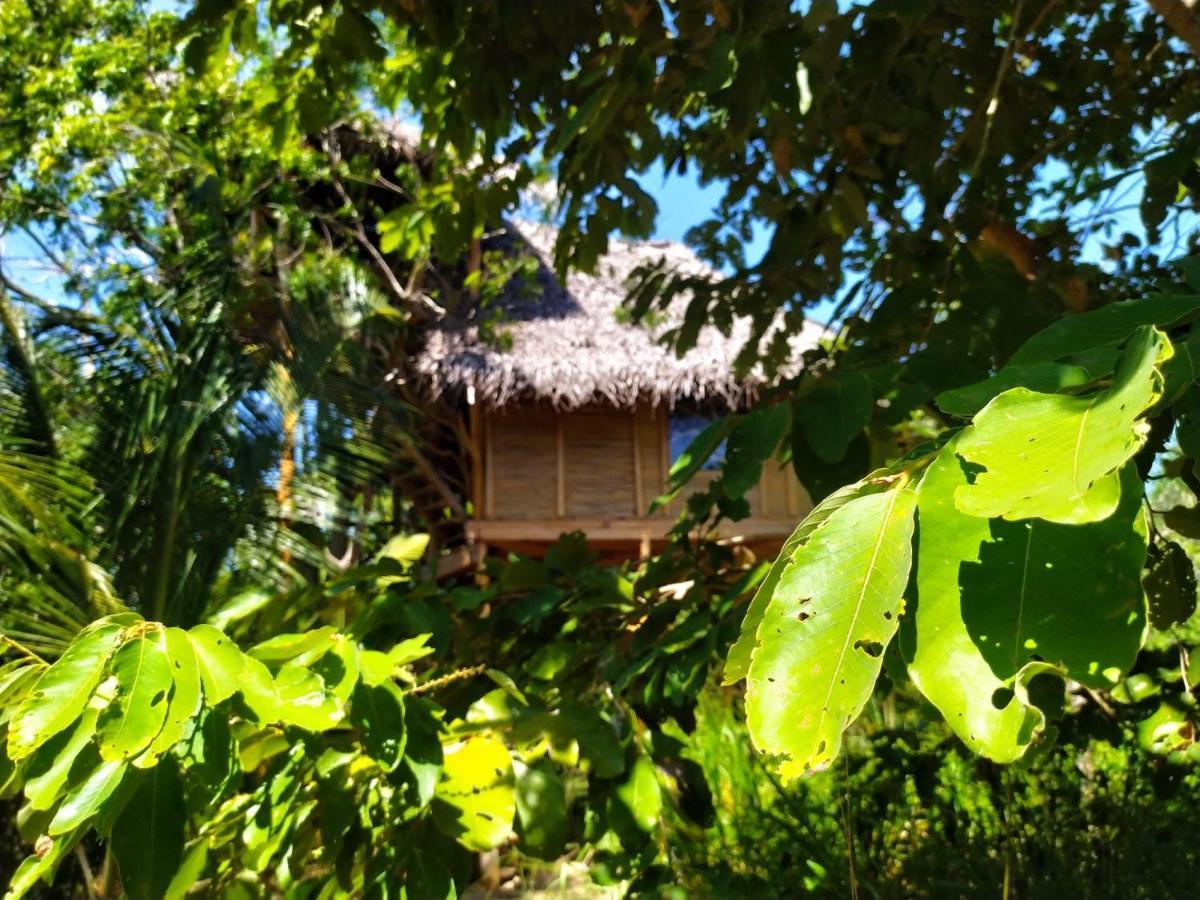 The Alpha Monkey Hotel & Tree House Tangalle Extérieur photo
