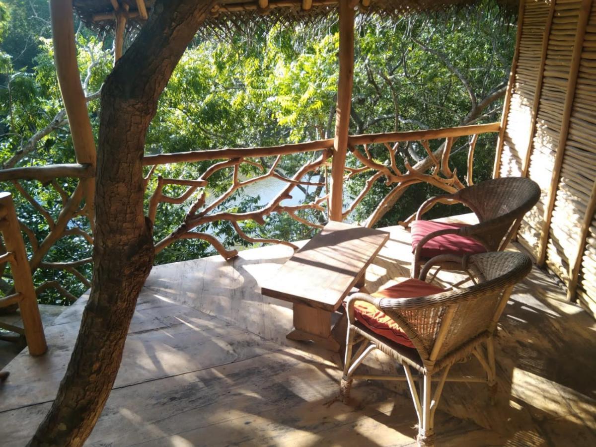The Alpha Monkey Hotel & Tree House Tangalle Extérieur photo