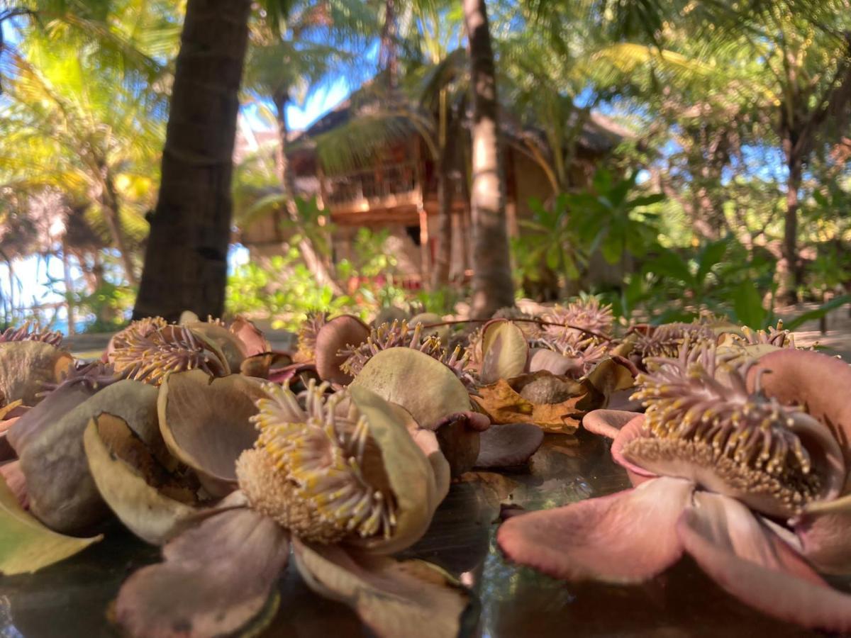 The Alpha Monkey Hotel & Tree House Tangalle Extérieur photo