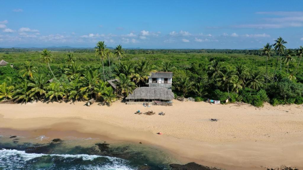 The Alpha Monkey Hotel & Tree House Tangalle Extérieur photo