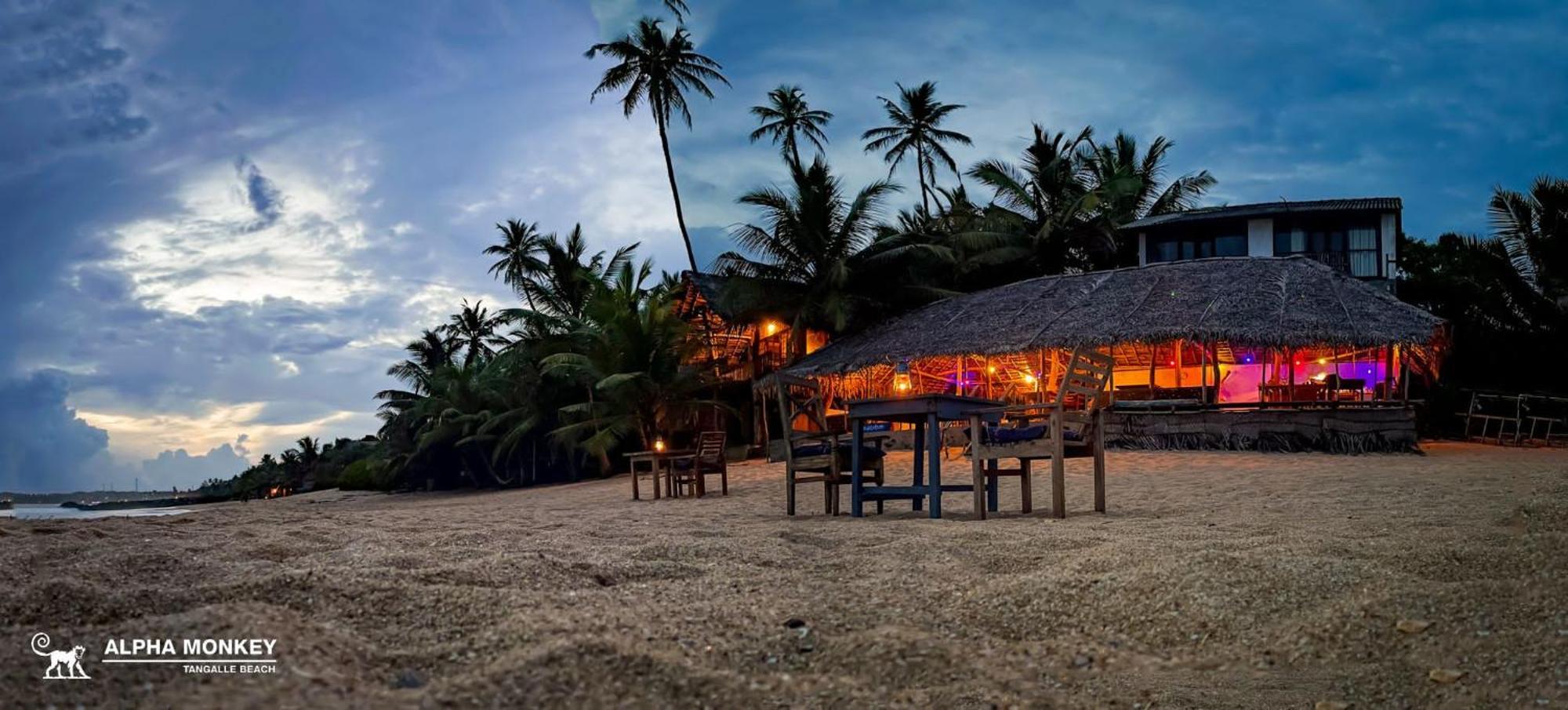 The Alpha Monkey Hotel & Tree House Tangalle Extérieur photo