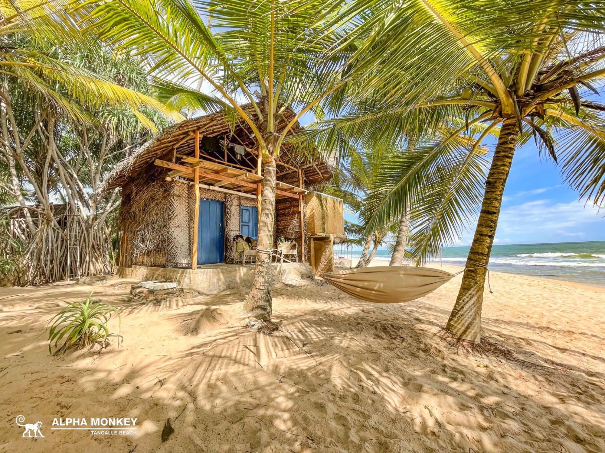 The Alpha Monkey Hotel & Tree House Tangalle Extérieur photo