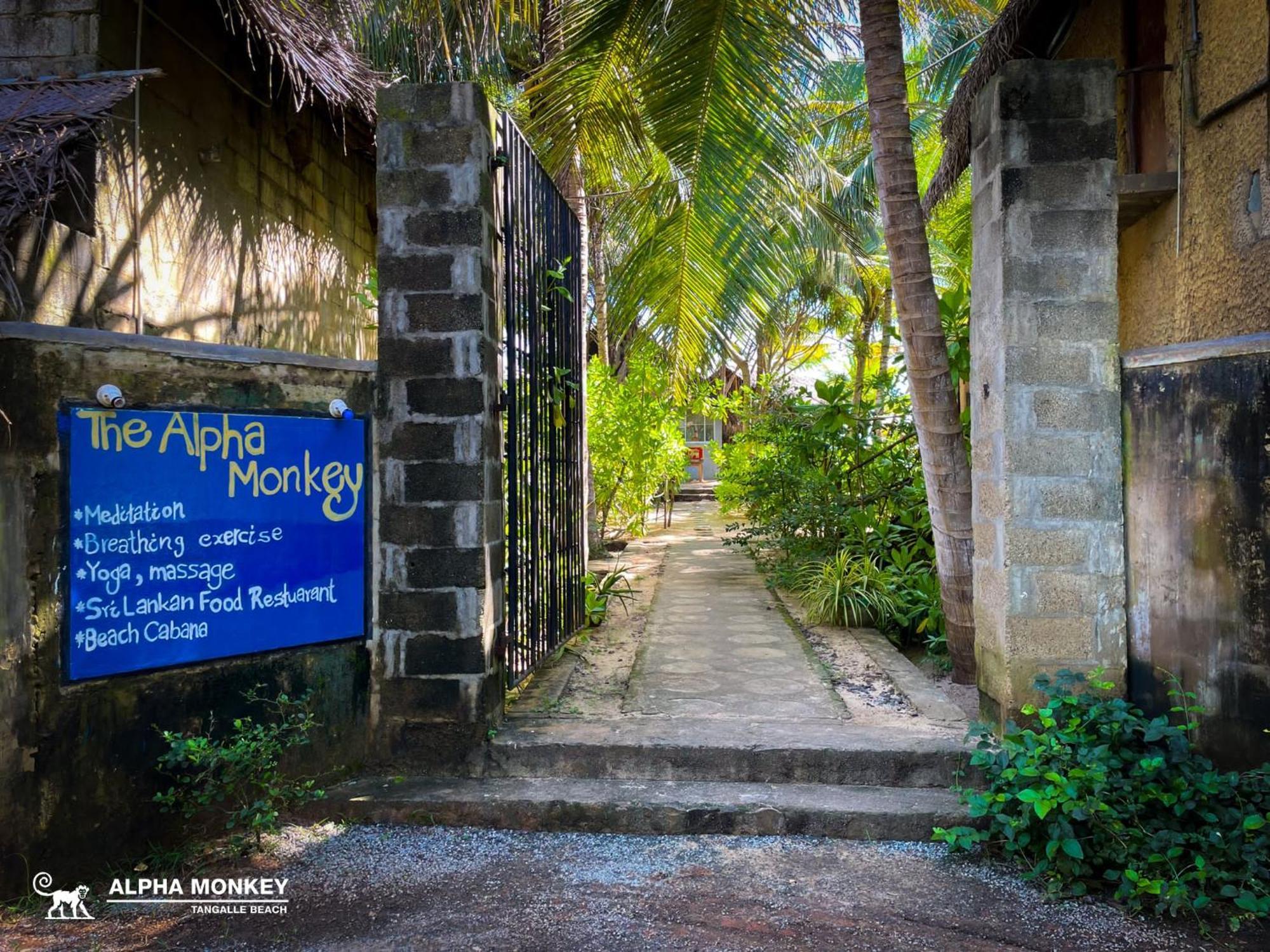 The Alpha Monkey Hotel & Tree House Tangalle Extérieur photo