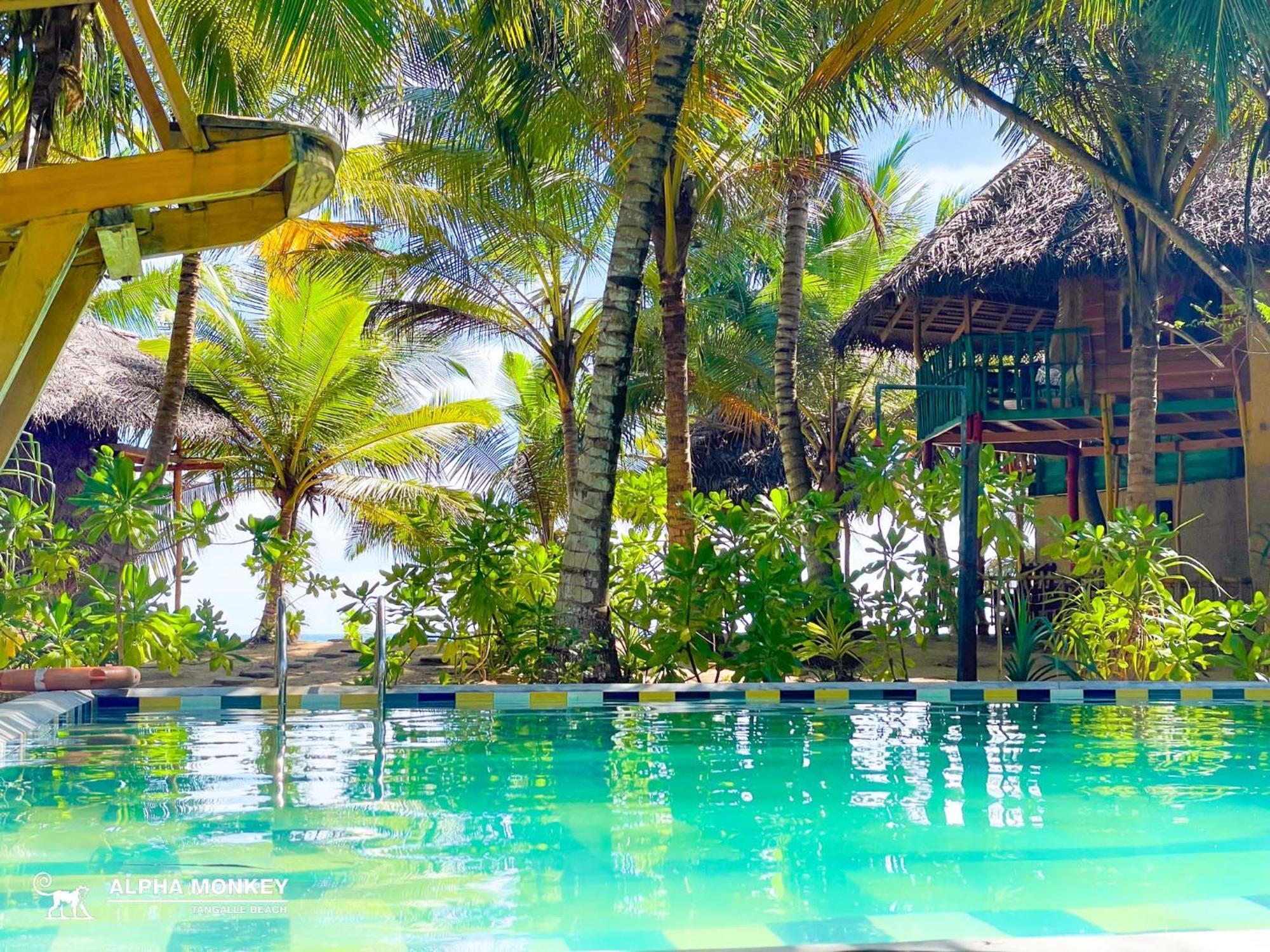The Alpha Monkey Hotel & Tree House Tangalle Extérieur photo