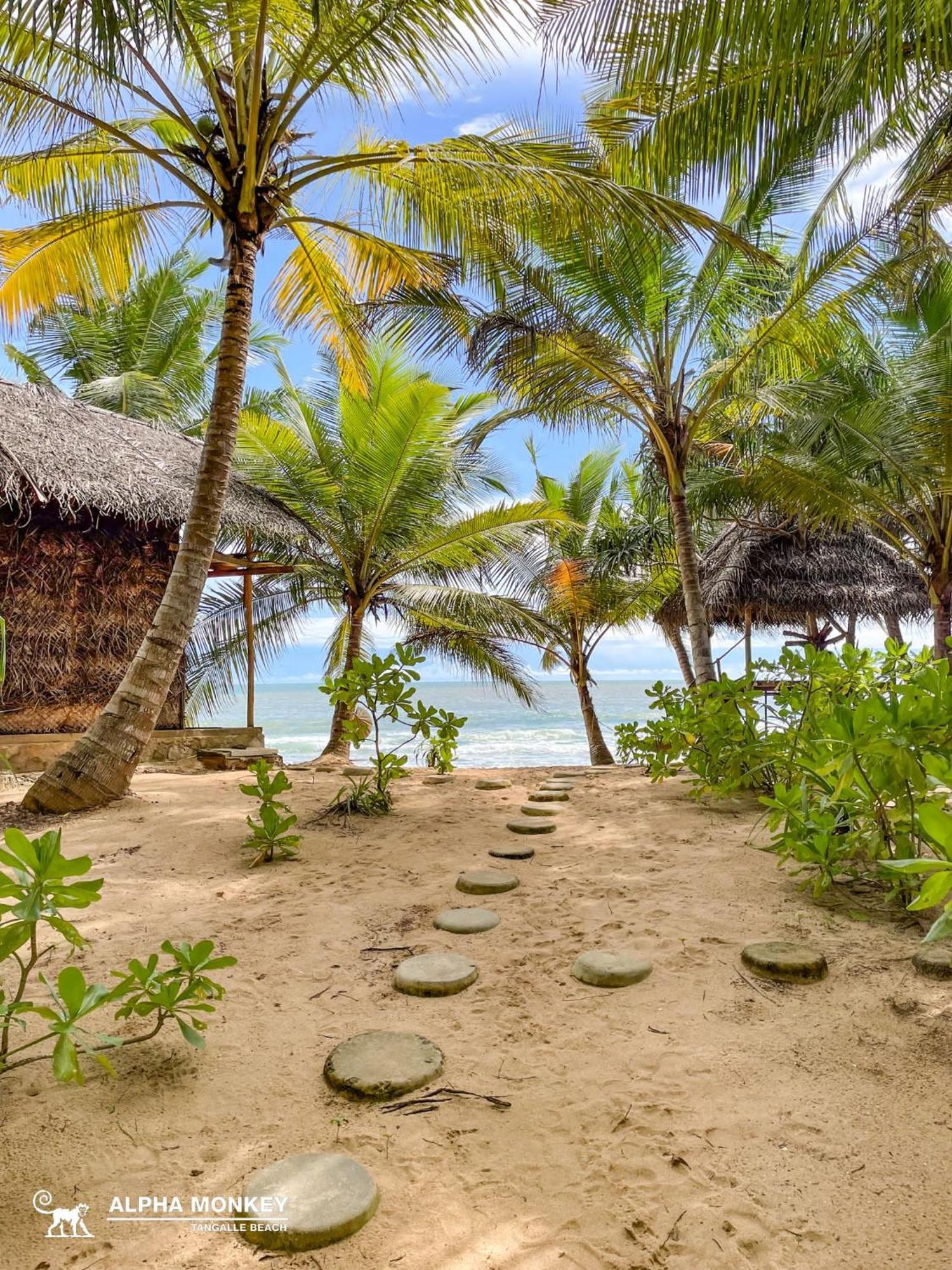 The Alpha Monkey Hotel & Tree House Tangalle Extérieur photo