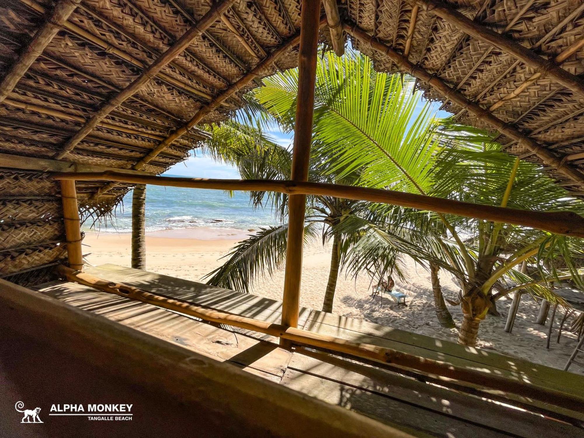 The Alpha Monkey Hotel & Tree House Tangalle Extérieur photo