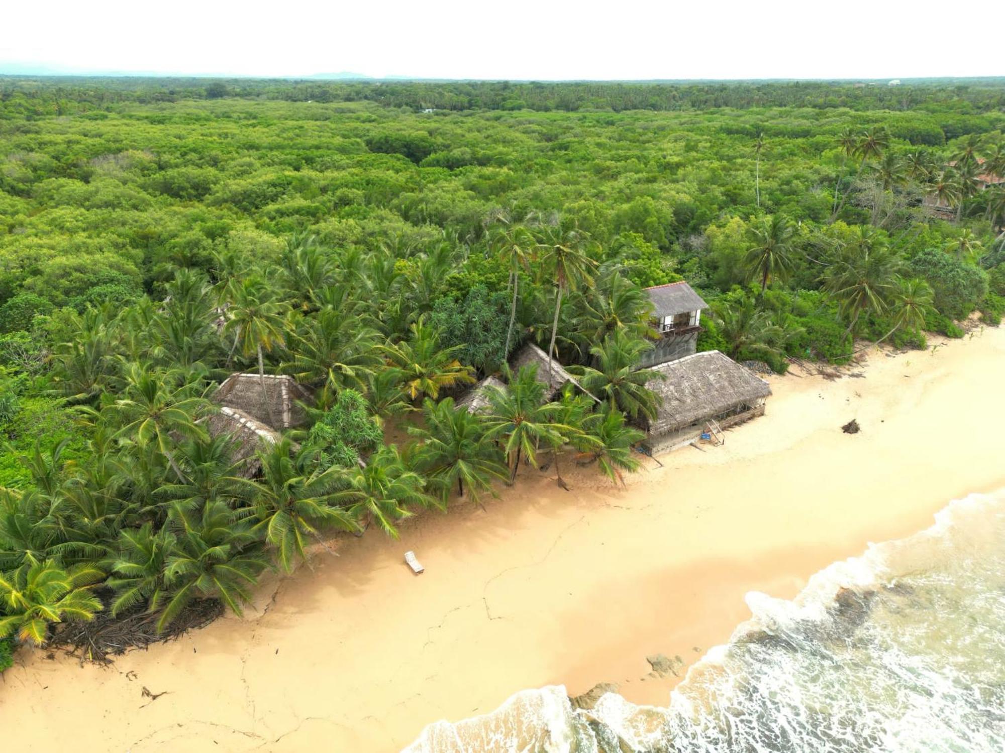 The Alpha Monkey Hotel & Tree House Tangalle Extérieur photo