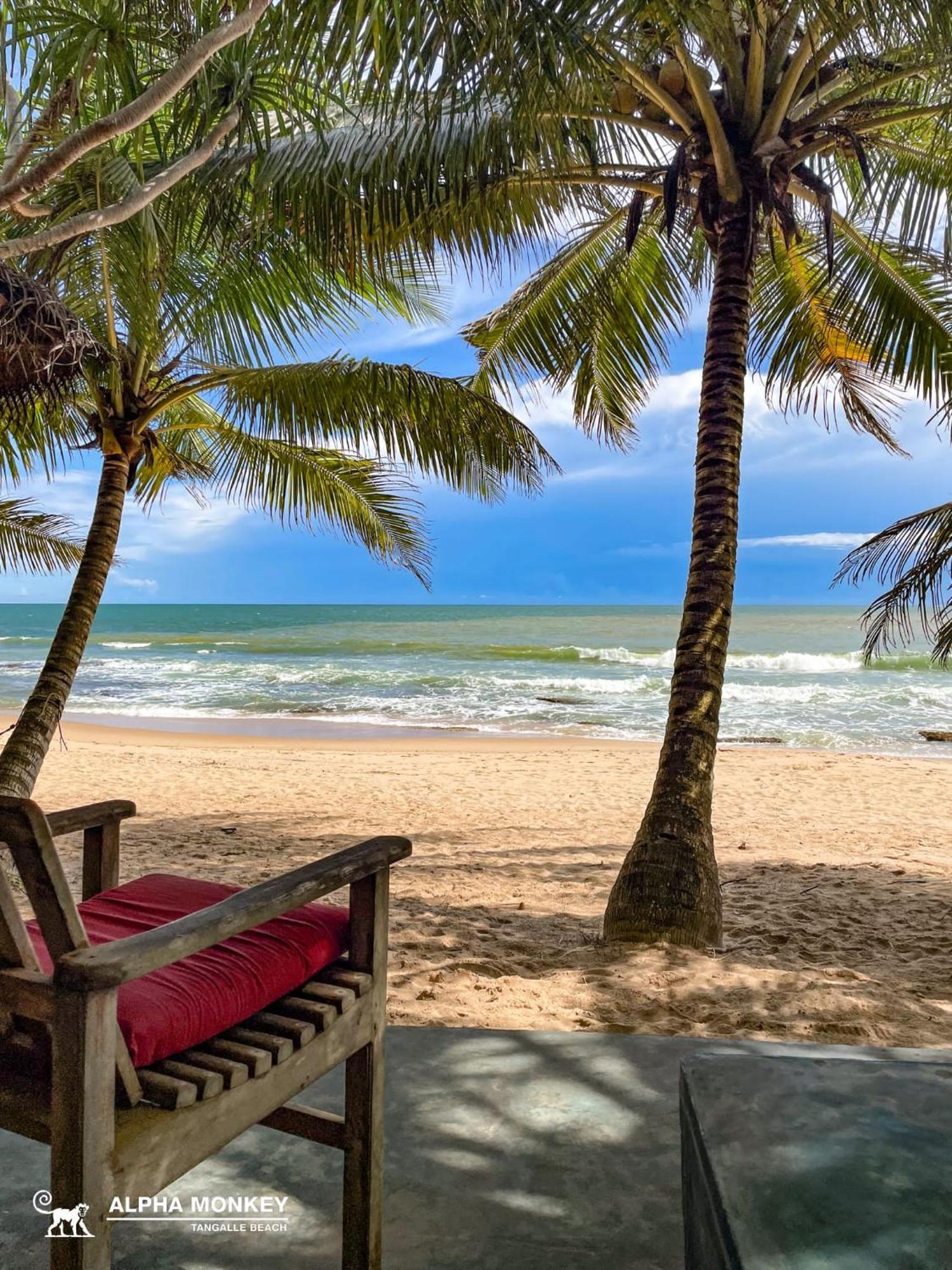 The Alpha Monkey Hotel & Tree House Tangalle Chambre photo