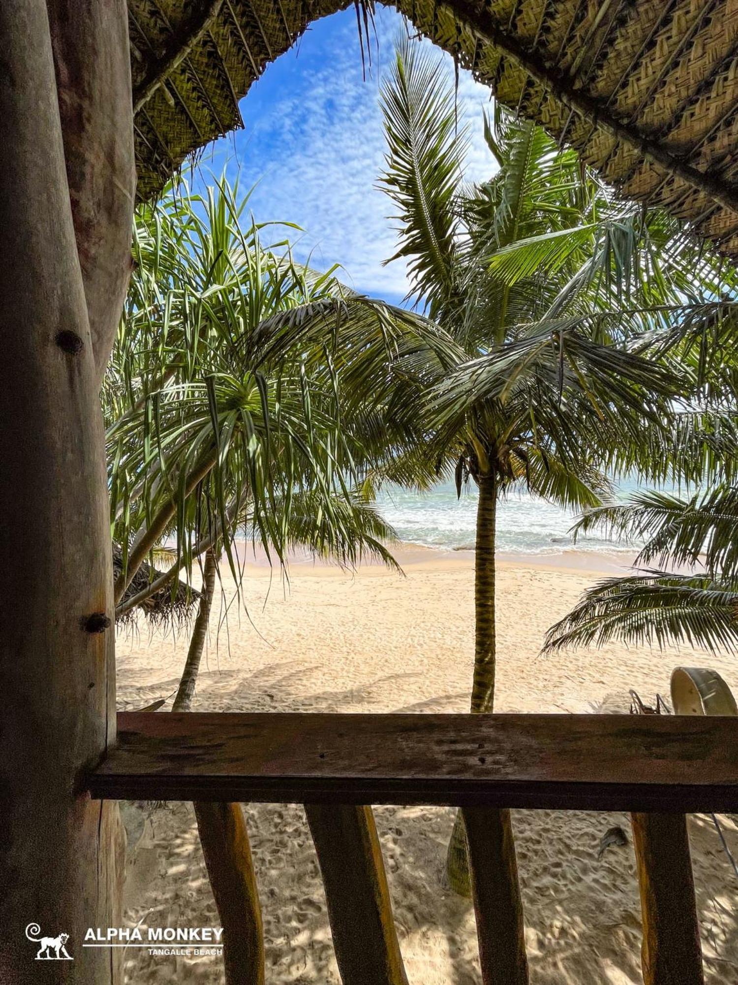 The Alpha Monkey Hotel & Tree House Tangalle Chambre photo