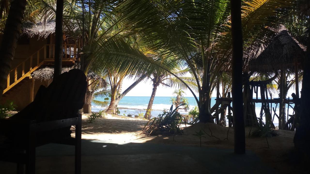 The Alpha Monkey Hotel & Tree House Tangalle Extérieur photo