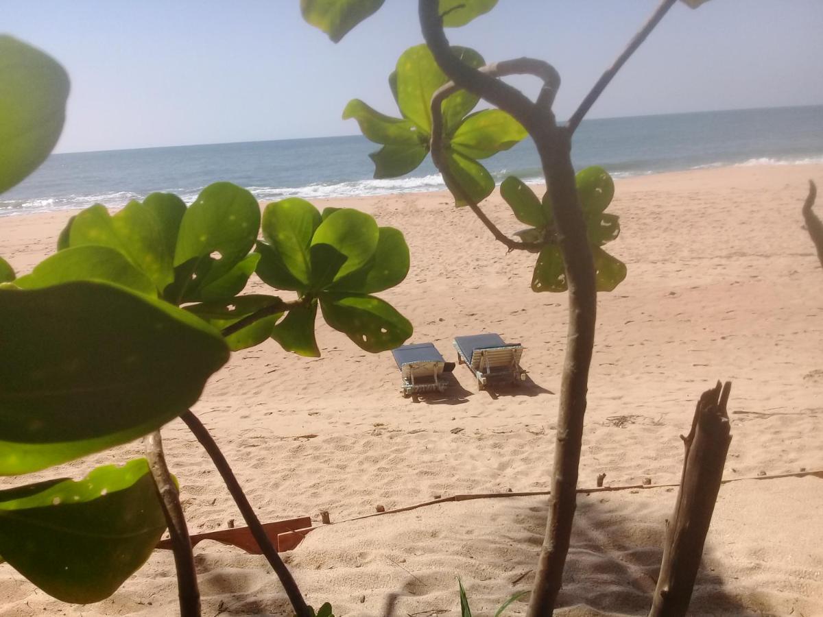 The Alpha Monkey Hotel & Tree House Tangalle Extérieur photo